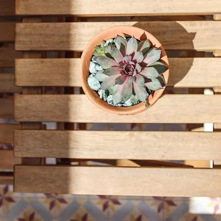 Garden Of Eden - 2 Bdrs, Elevator, Ac And Terrace Apartment