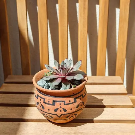 Garden Of Eden - 2 Bdrs, Elevator, Ac And Terrace Apartment