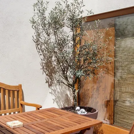 Garden Of Eden - 2 Bdrs, Elevator, Ac And Terrace Apartment