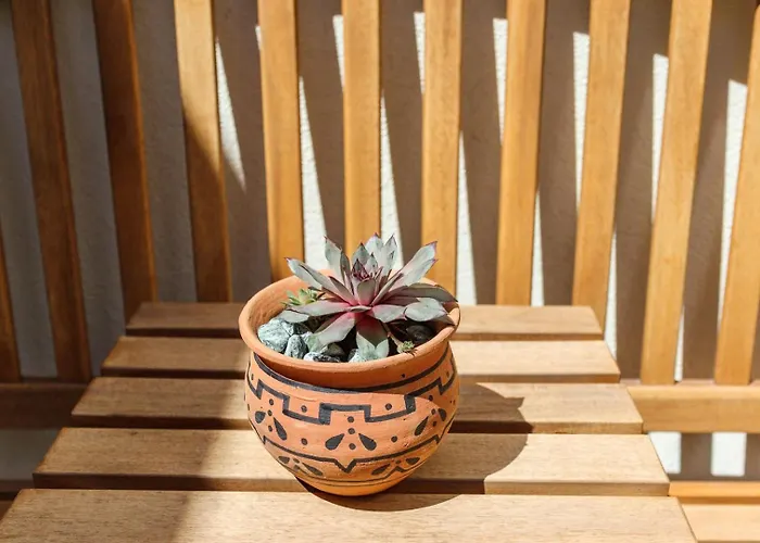 Garden Of Eden - 2 Bdrs, Elevator, Ac And Terrace Apartment