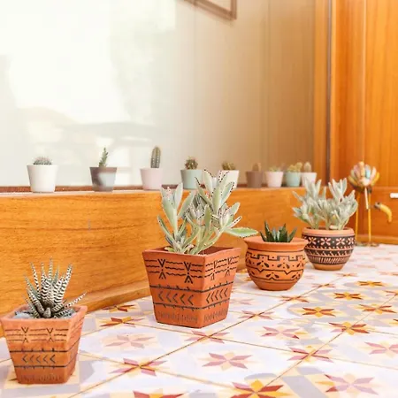 Garden Of Eden - 2 Bdrs, Elevator, Ac And Terrace Porto