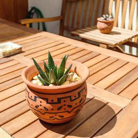 Daire Garden Of Eden - 2 Bdrs, Elevator, Ac And Terrace