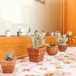 Garden Of Eden - 2 Bdrs, Elevator, Ac And Terrace Porto