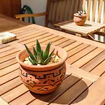 Apartament Garden Of Eden - 2 Bdrs, Elevator, Ac And Terrace